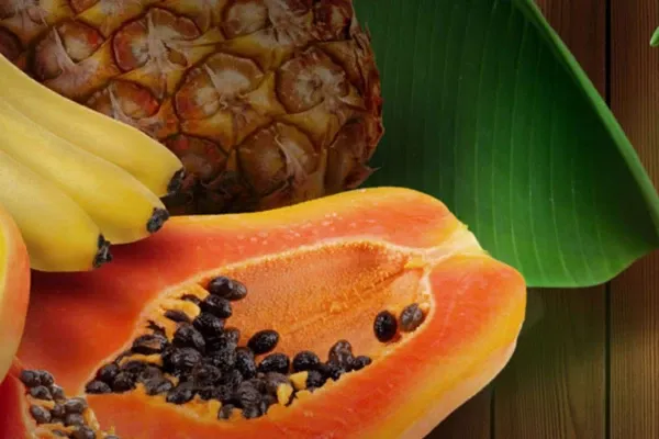 N&D Tropical Selection