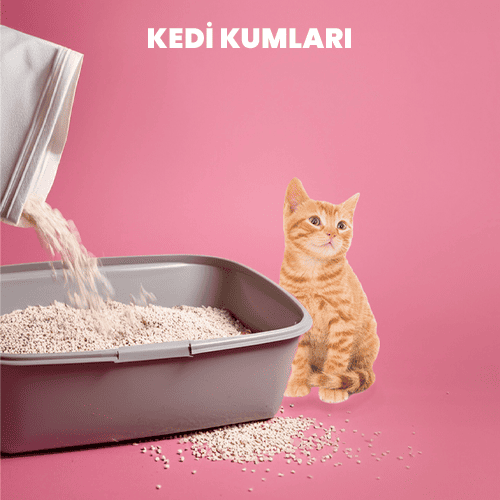 Kedi Kumları