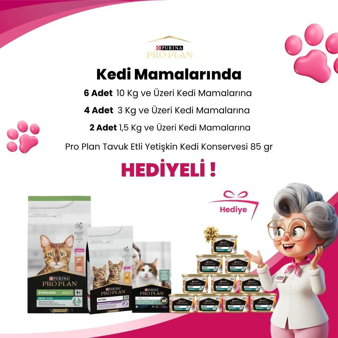 Pro Plan kedi