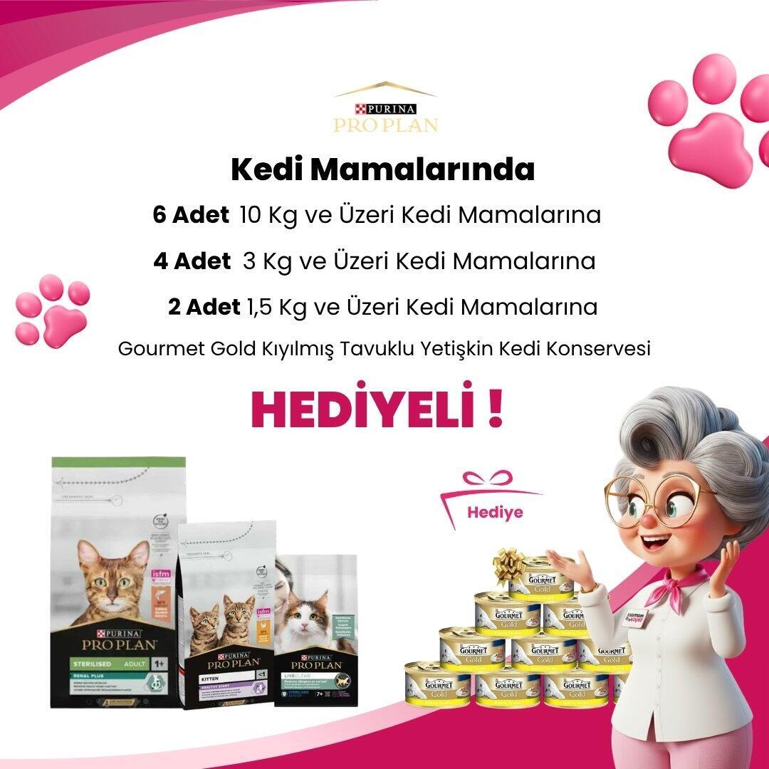 Pro Plan kedi