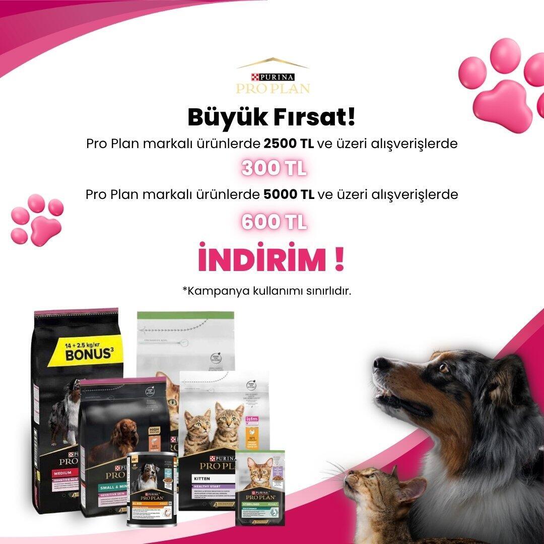 Pro Plan 10 Kg Kedi Mamaları