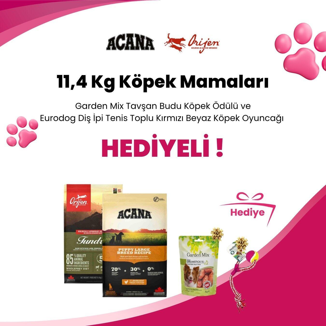 Acana ve Orijen 11,4 Kg Köpek Mamalarına Eurodog Diş İpi Tenis Toplu Kırmızı Beyaz Köpek Oyuncağı 40 cm ve Garden Mix Tavşan Budu Köpek Ödülü 75 gr Hediye