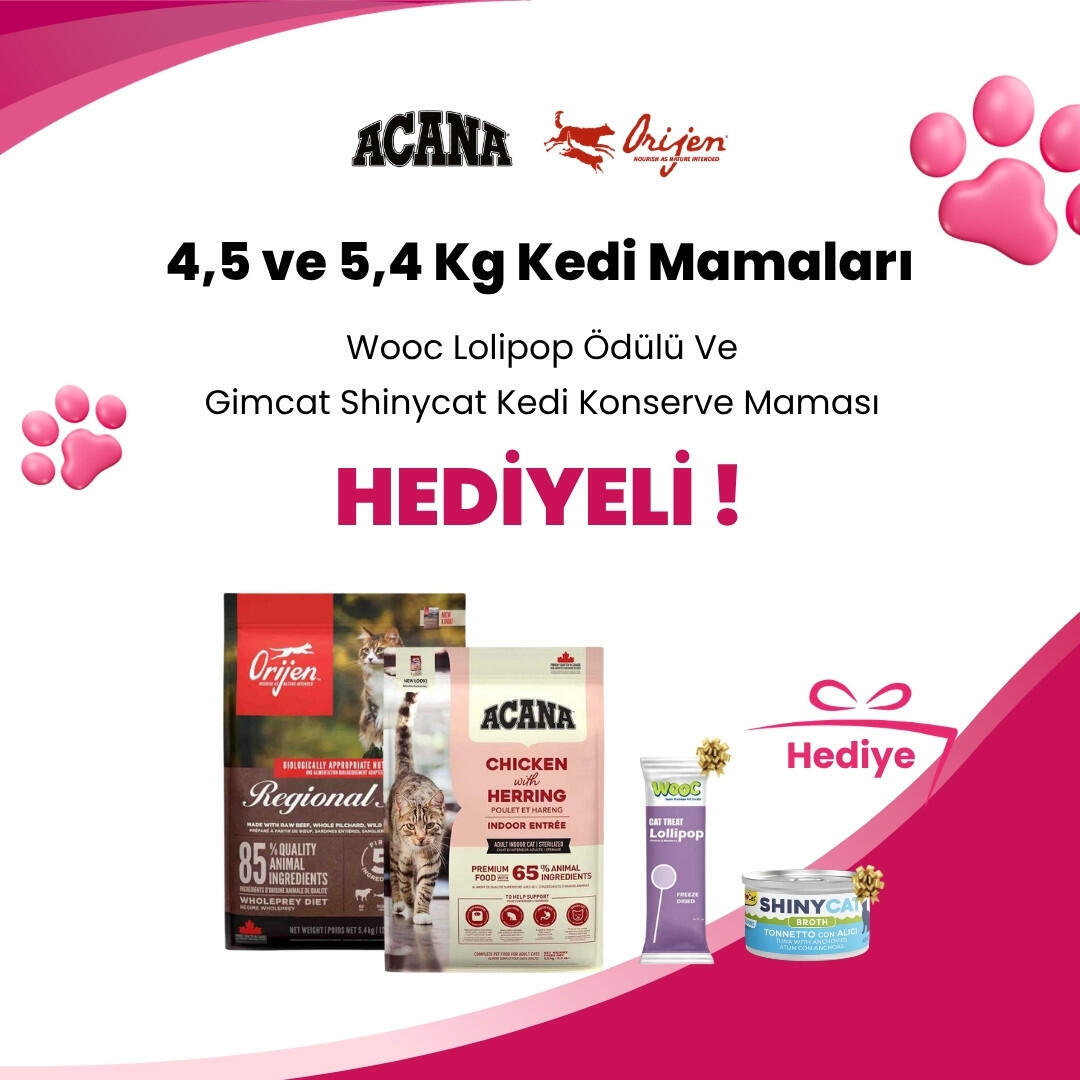Acana ve Orijen 4,5 ve 5,4 Kg Kedi Mamalarına Gimcat Shinycat Sos İçinde Ançüezli Ton Balığı Kedi Konserve Maması 70 Gr ve Wooc Tavuk ve Yaban Mersinli Lollipop Hediye