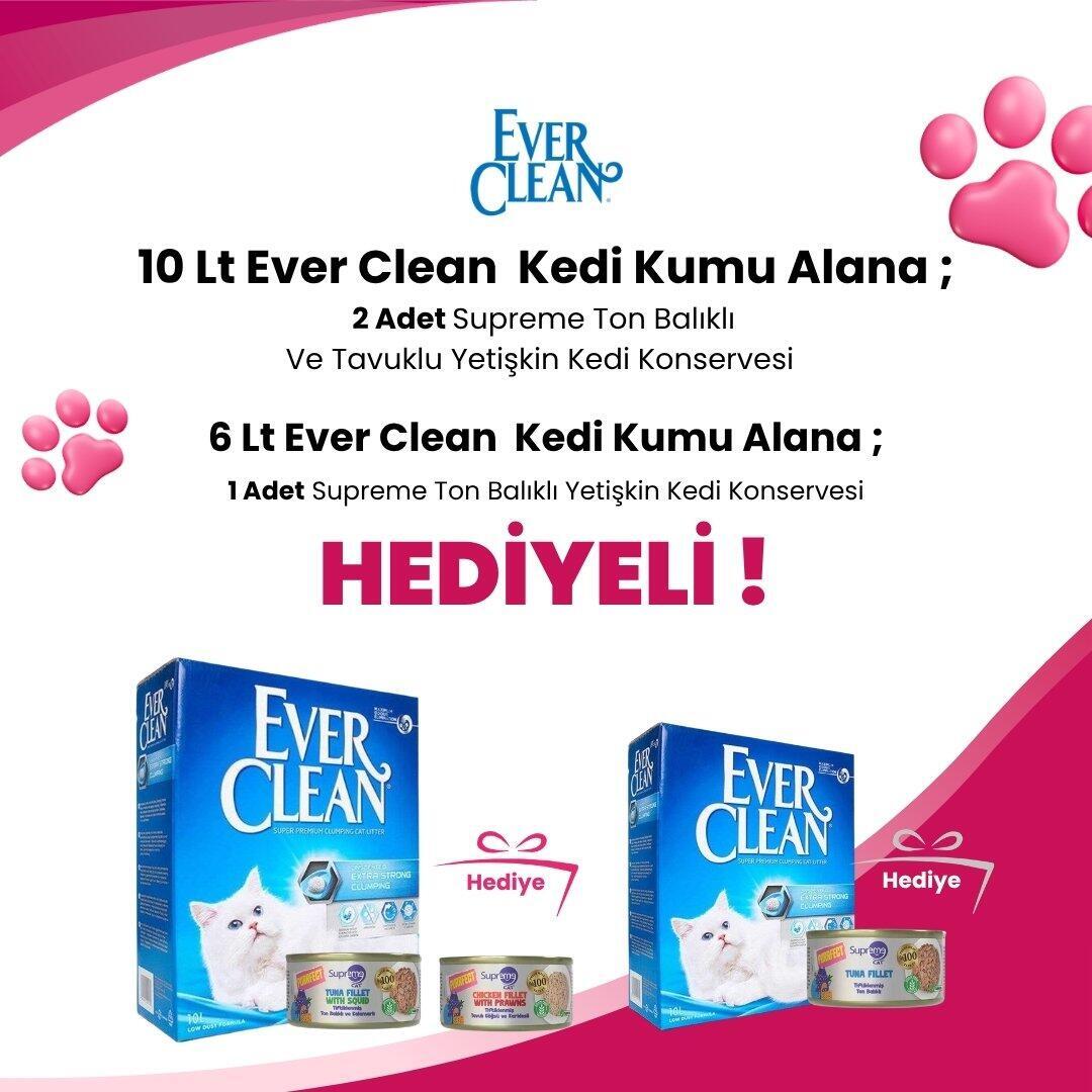 Ever Clean