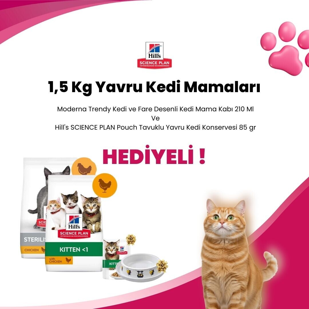 Hill's Science Plan 1,5 Kg Yavru Kedi Mamalarına Moderna Trendy Kedi ve Fare Desenli Kedi Mama Kabı 210 Ml ve Hill's SCIENCE PLAN Pouch Tavuklu Yavru Kedi Konservesi 85 gr Hediye