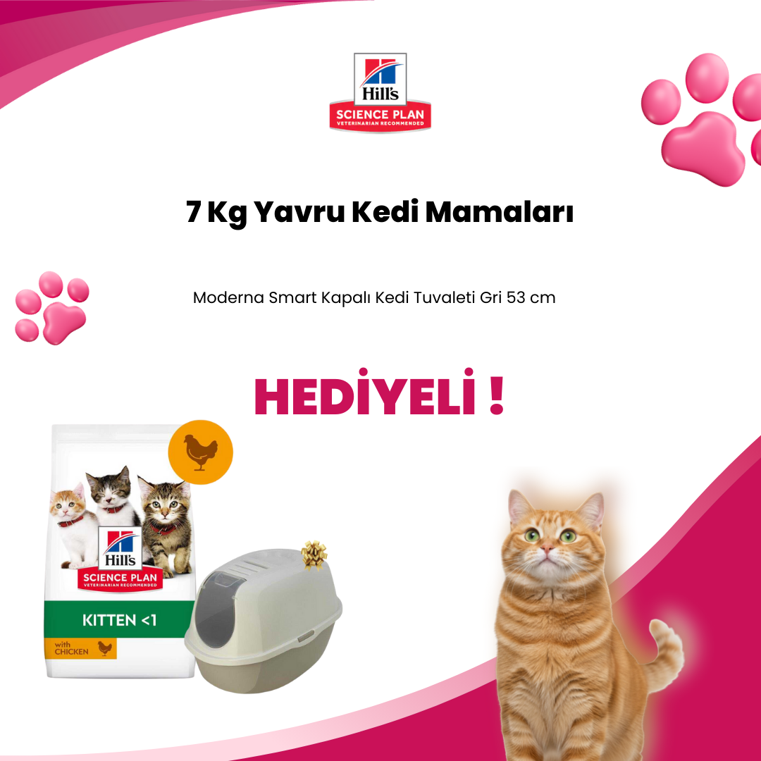Hill's Science Plan 7 Kg Yavru Kedi Mamalarına Hill's SCIENCE PLAN Pouch Tavuklu Yavru Kedi Konservesi 85 gr ve Moderna Smart Kapalı Kedi Tuvaleti Gri 53 cm Hediye