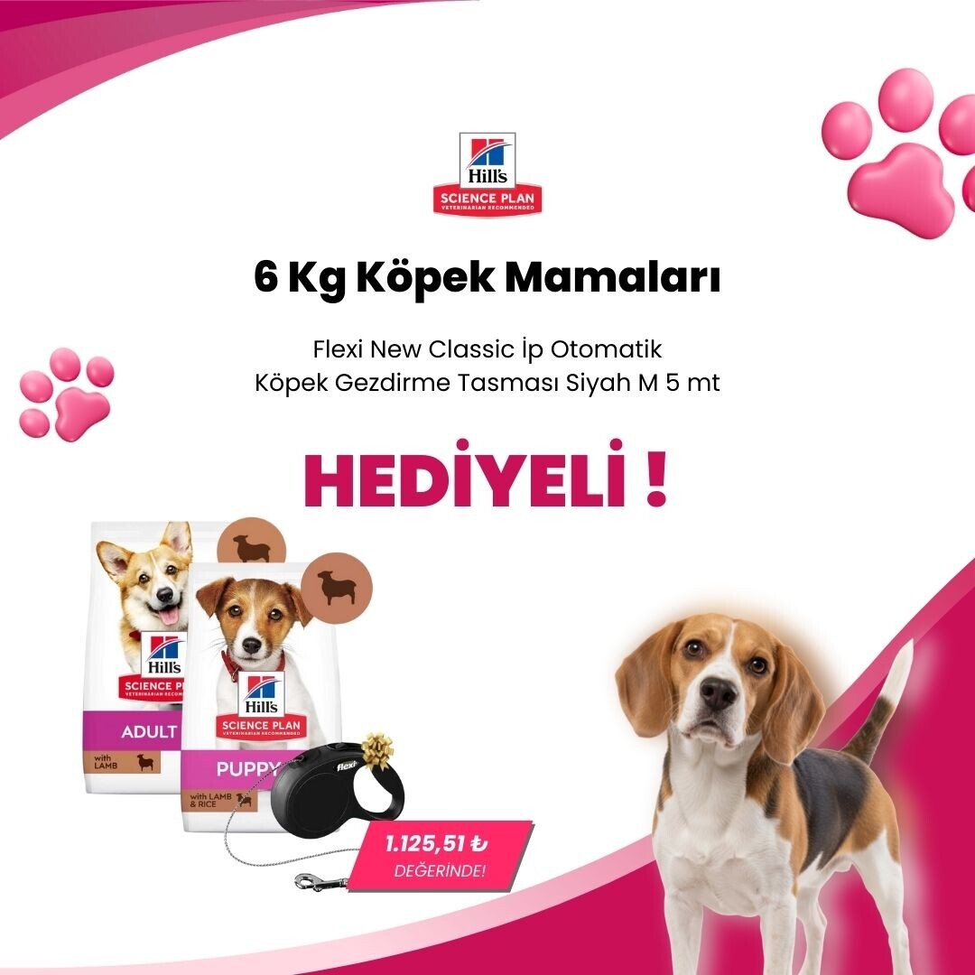 Hill's Science Plan 6 Kg Köpek Mamalarına 1 Adet Flexi New Classic İp Otomatik Köpek Gezdirme Tasması Siyah M 5 mt Hediye