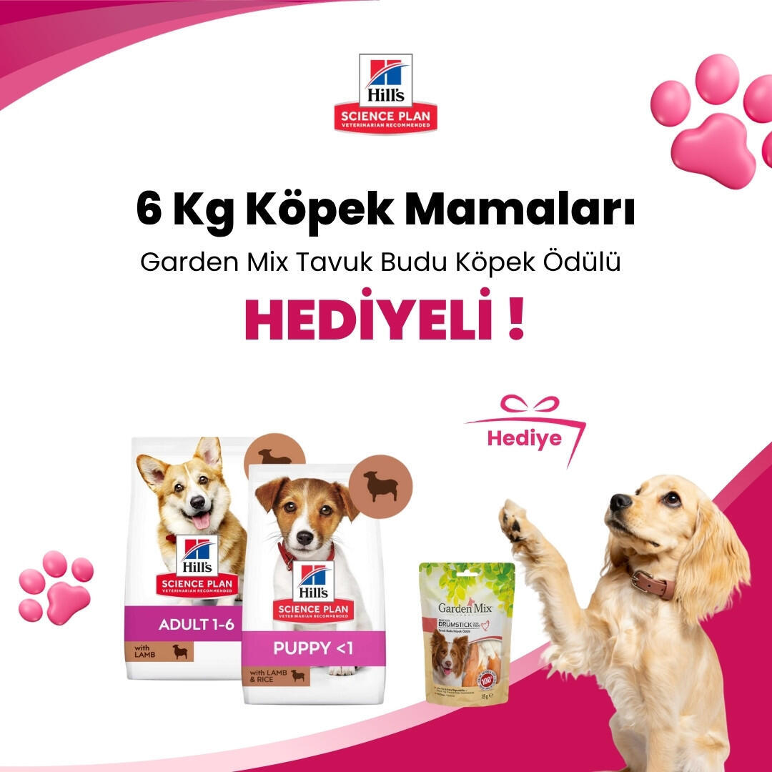 Hill's Science Plan 6 Kg Köpek Mamalarına Garden Mix Tavuk Budu Köpek Ödülü 75 gr Hediye