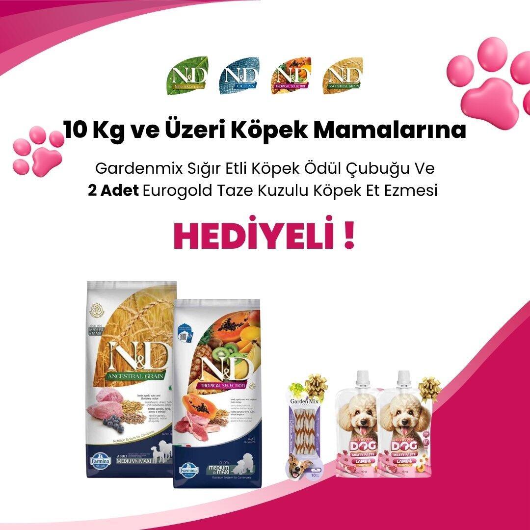 N&D 10 KG ve Üzeri Köpek Mamalarına N&D Tavuklu Balkabaklı Diş Sağlığı Medium/Maxi Köpek Ödülü 100 Gr ve N&D Kuzulu Yaban Mersinli Diş Sağlığı Medium/Maxi Köpek Ödülü 100 Gr Hediye