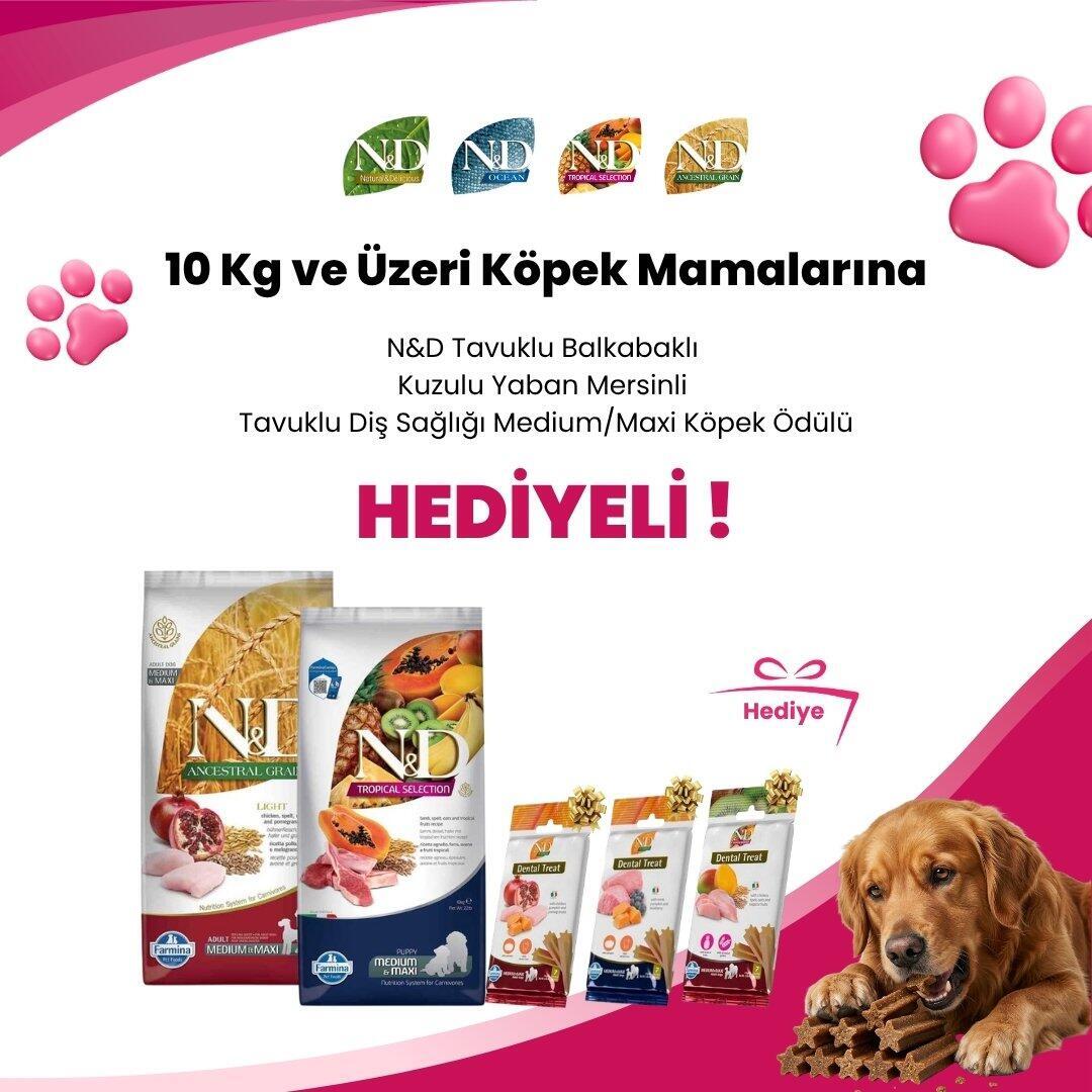 N&D 10 KG ve Üzeri Köpek Mamalarına N&D Tropical Tavuklu Diş Sağlığı Medium/Maxi Köpek Ödülü 110 Gr, N&D Kuzulu Yaban Mersinli Diş Sağlığı Medium/Maxi Köpek Ödülü 100 Gr ve N&D Tavuklu Balkabaklı Diş Sağlığı Medium/Maxi Köpek Ödülü 100 Gr Hediye