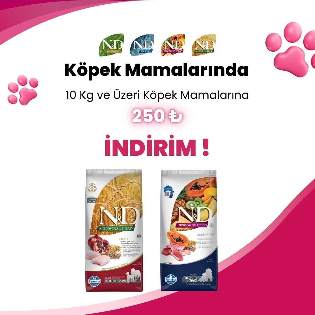 N&D 10 Kg ve Üzeri Köpek Mamalarına 1 Adet N&D Brown Coat Diş Sağlığı Medium/Maxi Köpek Ödülü 100 Gr Hediye
