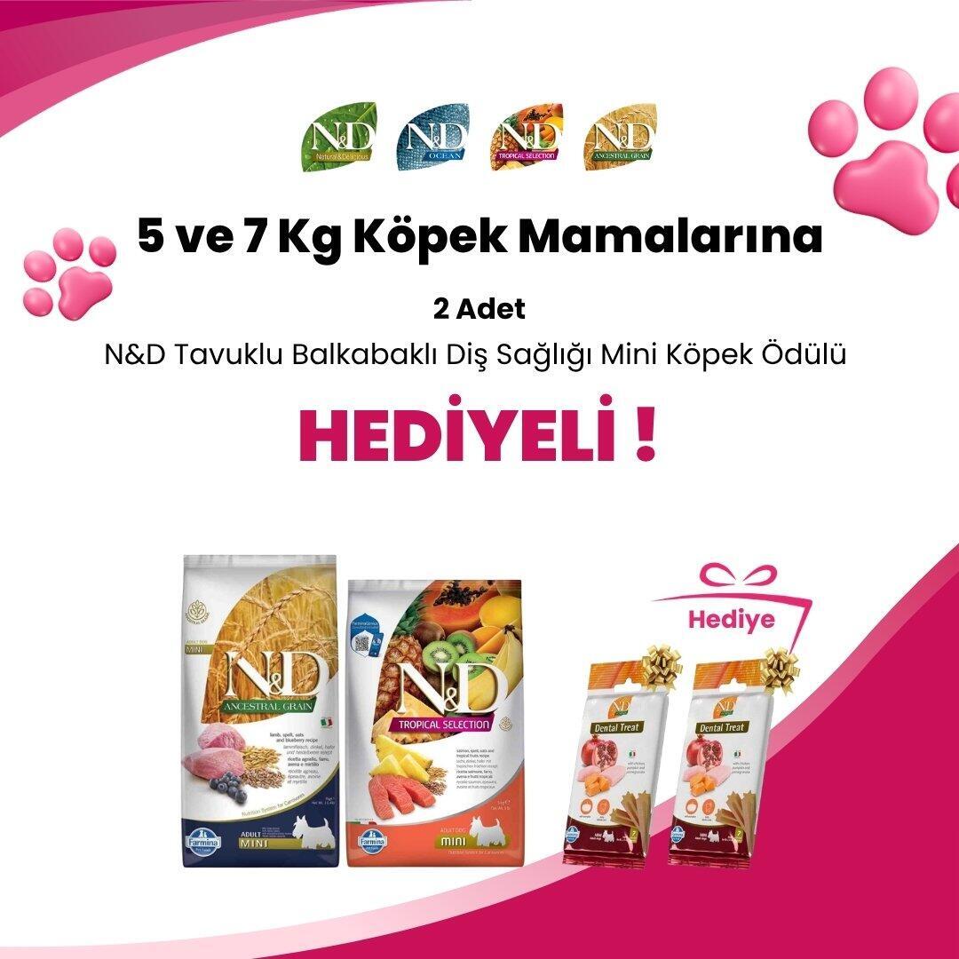 N&D 5 ve 7 Kg Köpek Mamalarına N&D Kuzulu Yaban Mersinli Diş Sağlığı Mini Köpek Ödülü 60 Gr ve N&D Tropical Tavuklu Diş Sağlığı Mini Köpek Ödülü 60 Gr Hediye