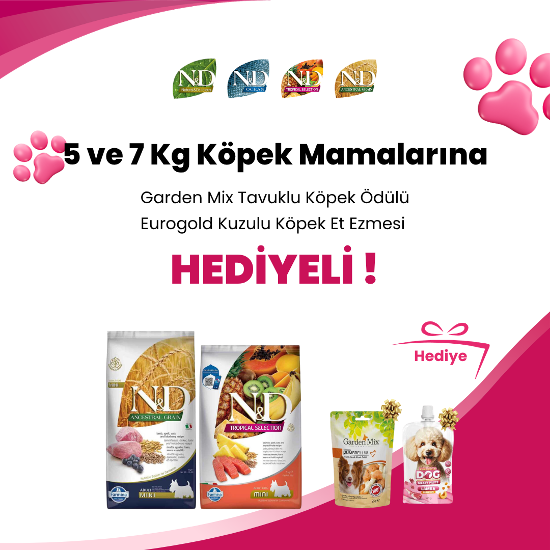 N&D 5 ve 7 Kg Köpek Mamalarına N&D Kuzulu Yaban Mersinli Diş Sağlığı Mini Köpek Ödülü 60 Gr ve N&D Tropical Tavuklu Diş Sağlığı Mini Köpek Ödülü 60 Gr Hediye