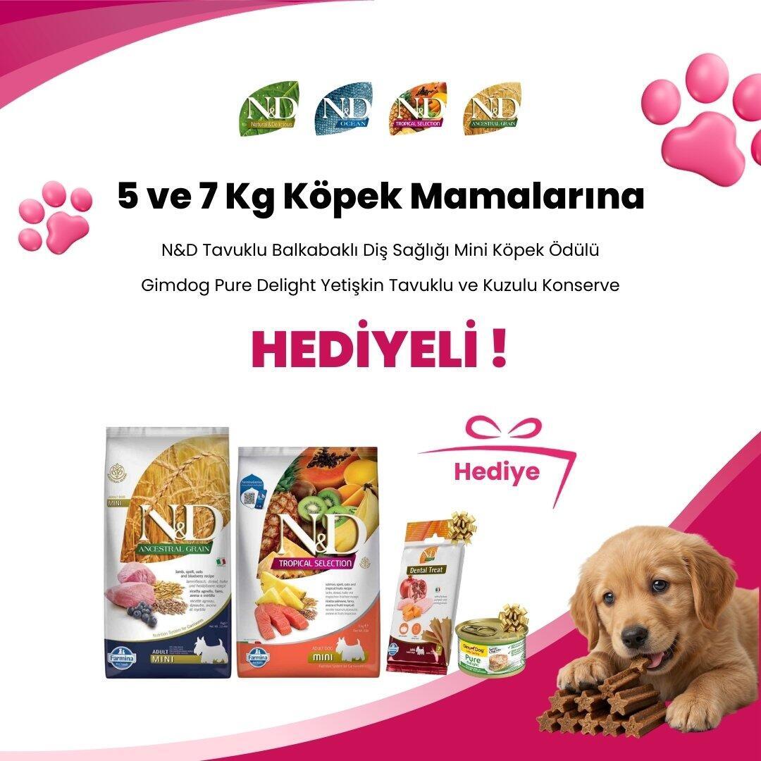 N&D 5 ve 7 Kg Köpek Mamalarına N&D Tropical Tavuklu Diş Sağlığı Mini Köpek Ödülü 60 Gr ve Gimdog Pure Delight Tavuklu ve Kuzulu Konserve Yetişkin Köpek Maması 85 gr Hediye