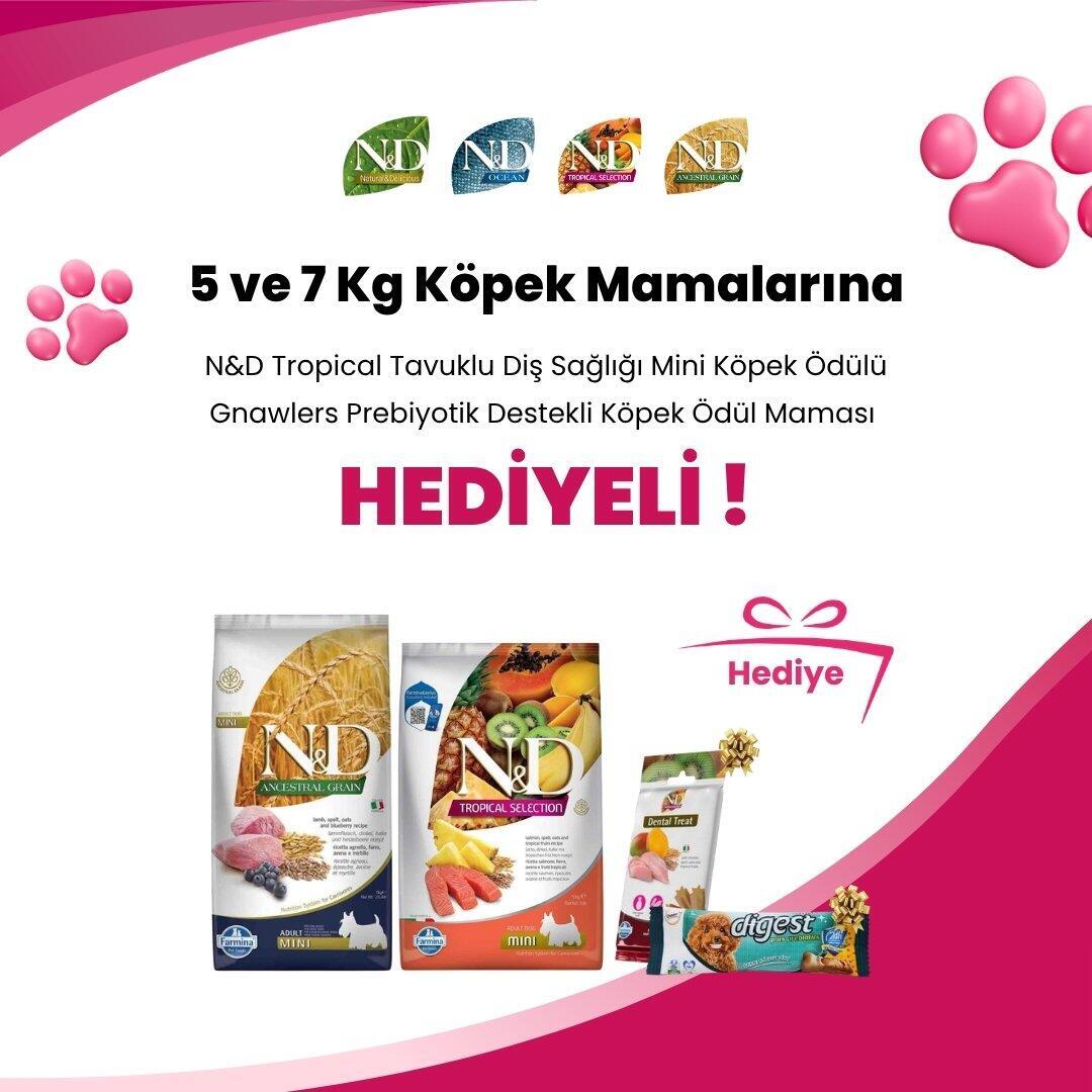 N&D 5 ve 7 Kg Köpek Mamalarına N&D Tropical Tavuklu Diş Sağlığı Mini Köpek Ödülü 60 Gr ve Gnawlers Digest Prebiyotik Destekli Köpek Ödül Maması 15gr 7.5cm Hediye