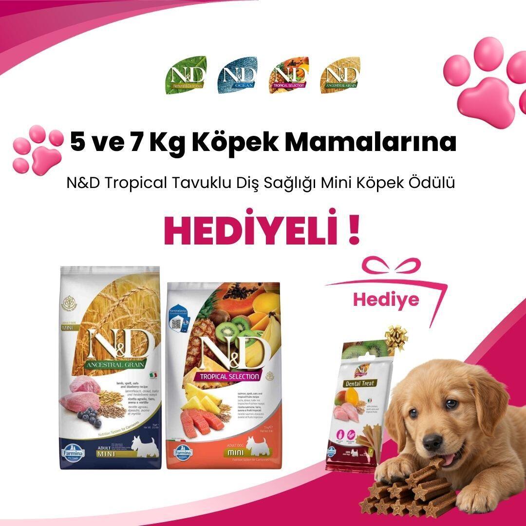 N&D 5 ve 7 Kg Köpek Mamalarına