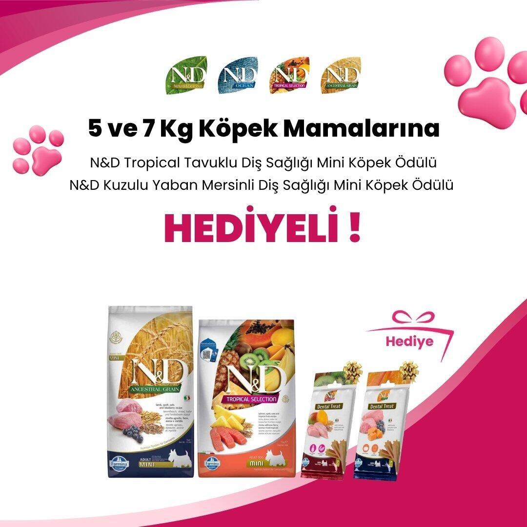 N&D 5 ve 7 Kg Köpek Mamalarına N&D Kuzulu Yaban Mersinli Diş Sağlığı Mini Köpek Ödülü 60 Gr ve N&D Tropical Tavuklu Diş Sağlığı Mini Köpek Ödülü 60 Gr Hediye