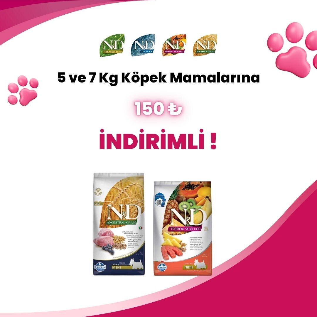 N&D Köpek Kampanyaları