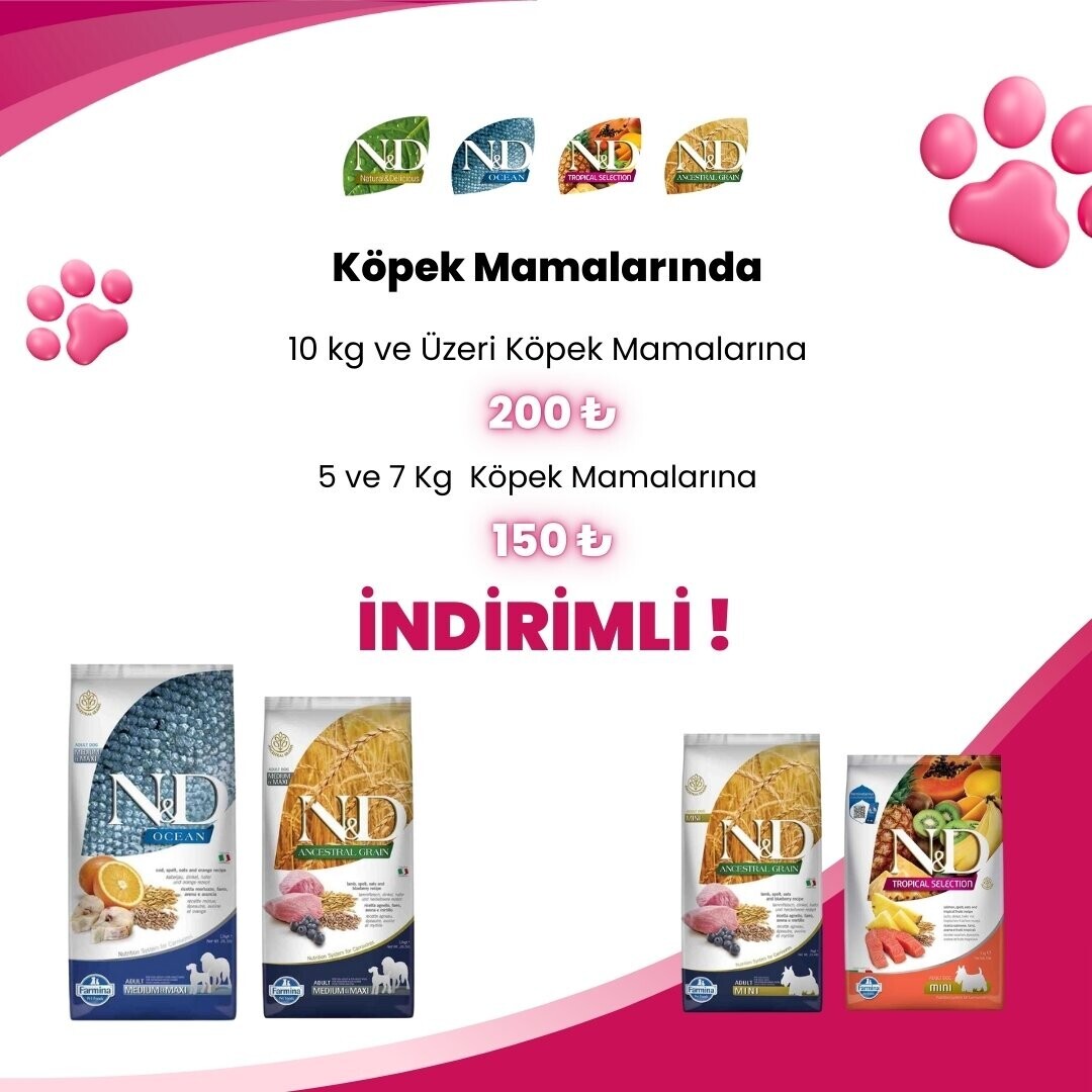 N&D Köpek Kampanyaları