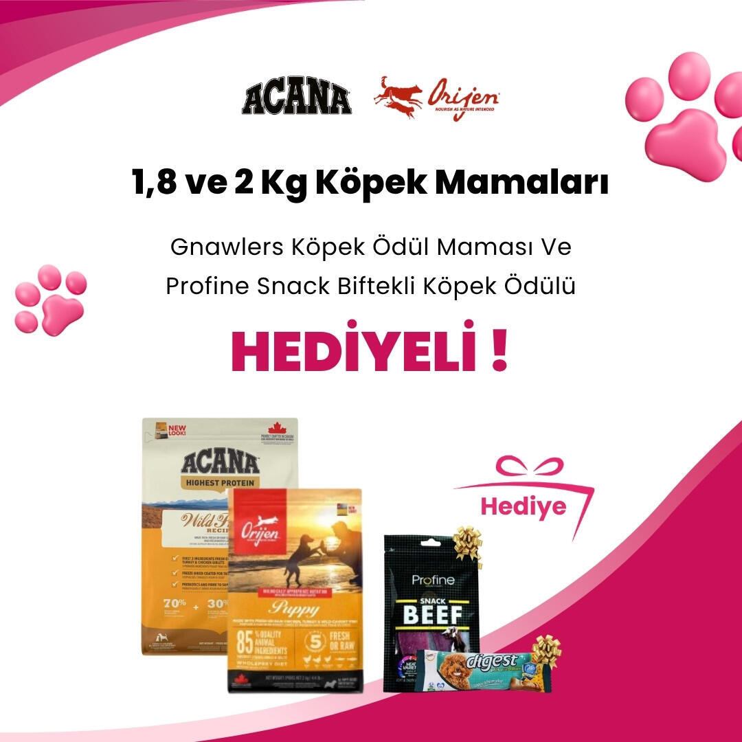Acana ve Orijen 1,8 ve 2 Kg Köpek Mamalarına Profine Snack Biftekli Köpek Ödülü 80 gr ve Gnawlers Digest Prebiyotik Destekli Köpek Ödül Maması 15gr 7.5cm Hediye