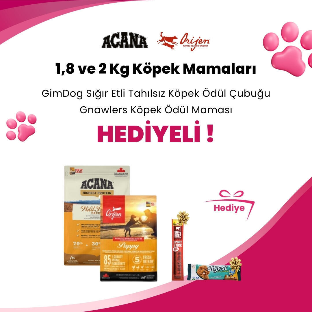 Acana ve Orijen 1,8 ve 2 Kg Köpek Mamalarına Profine Snack Biftekli Köpek Ödülü 80 gr ve Gnawlers Digest Prebiyotik Destekli Köpek Ödül Maması 15gr 7.5cm Hediye