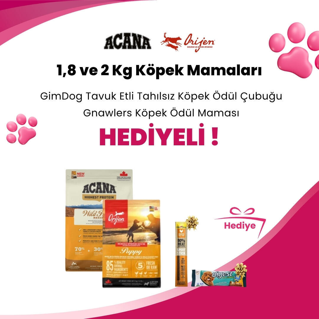 Acana ve Orijen 1,8 ve 2 Kg Köpek Mamalarına Profine Snack Biftekli Köpek Ödülü 80 gr ve Gnawlers Digest Prebiyotik Destekli Köpek Ödül Maması 15gr 7.5cm Hediye