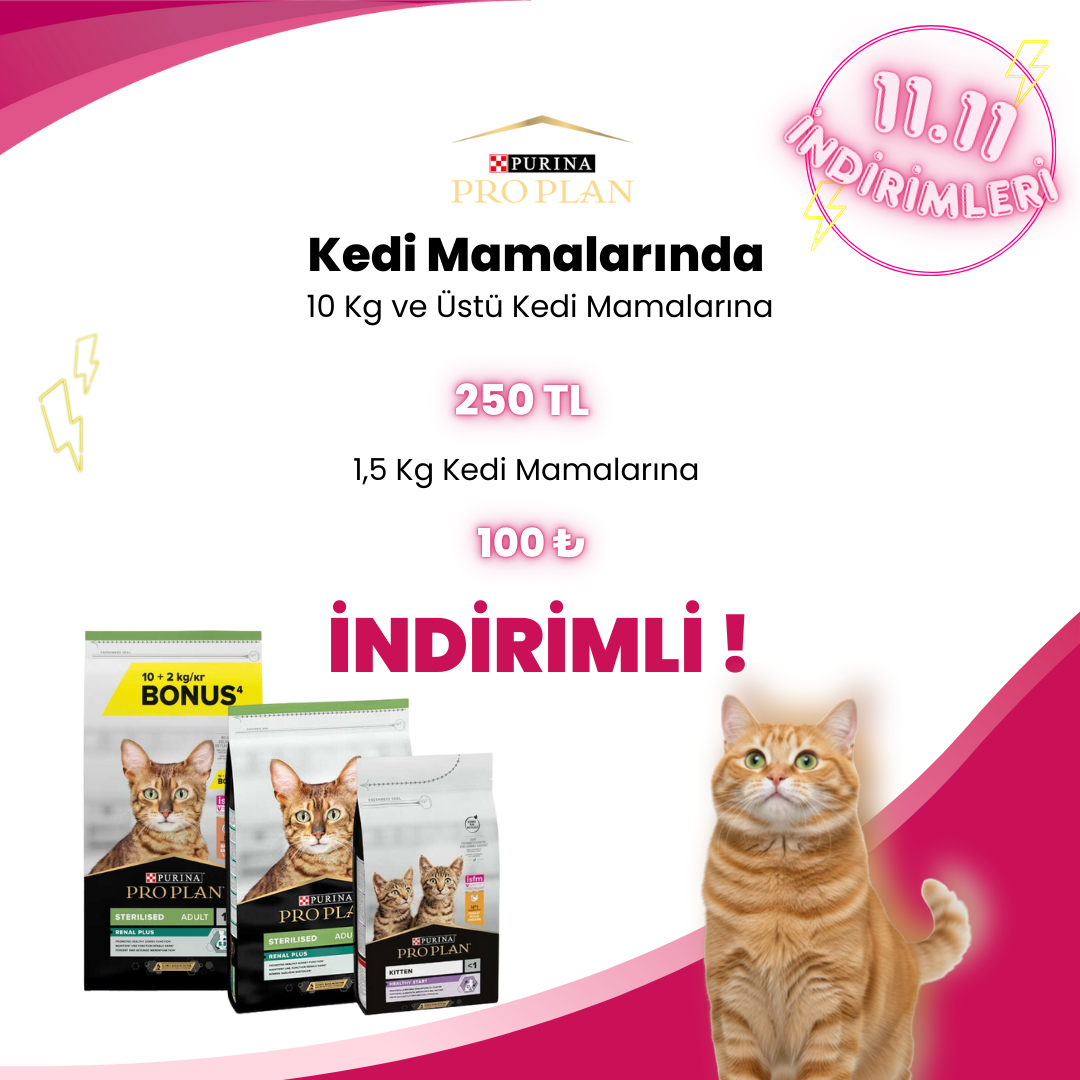 Pro Plan Kedi Kampanyaları