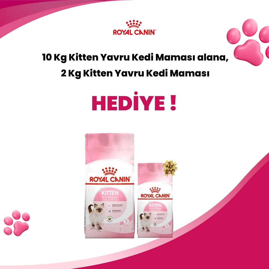 Royal Canin Yavru Kedi Mama Hediye