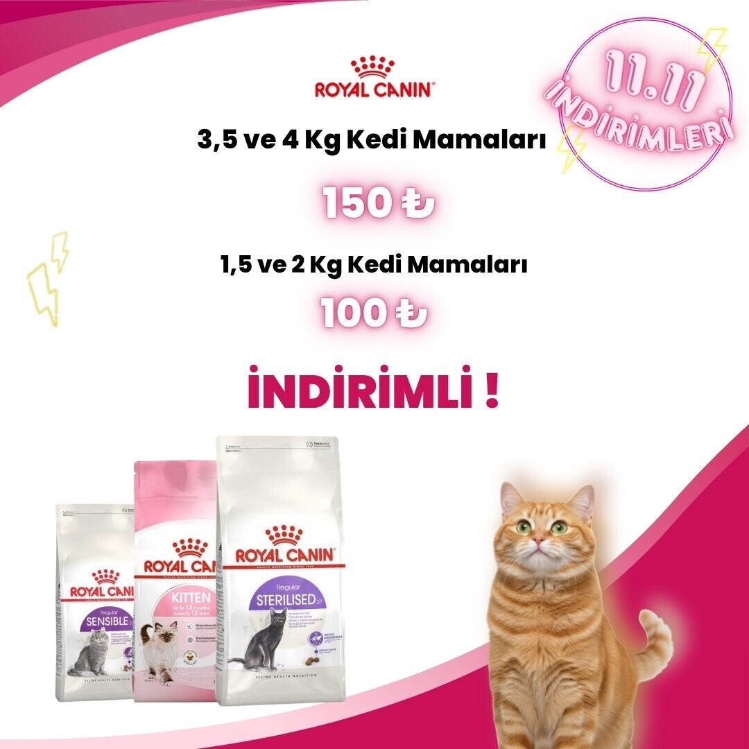 Royal Canin Küçük Kg Kedi Mamaları