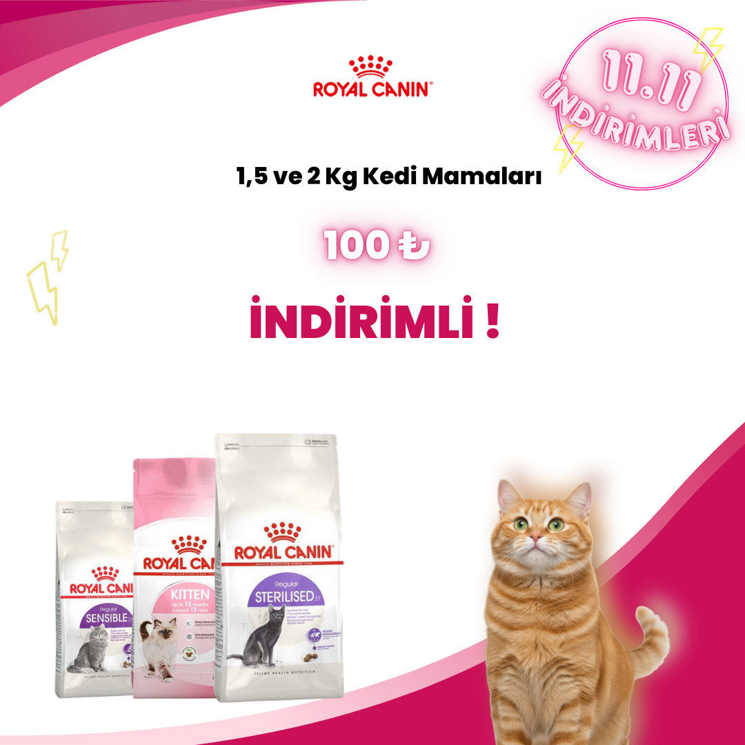 Royal Canin Küçük Kg Kedi Mamaları
