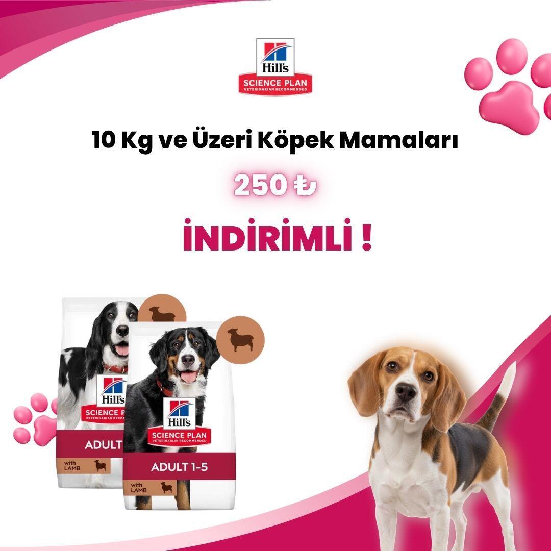 Hill’s Science Plan 10 Kg ve Üstü Köpek Mamaları