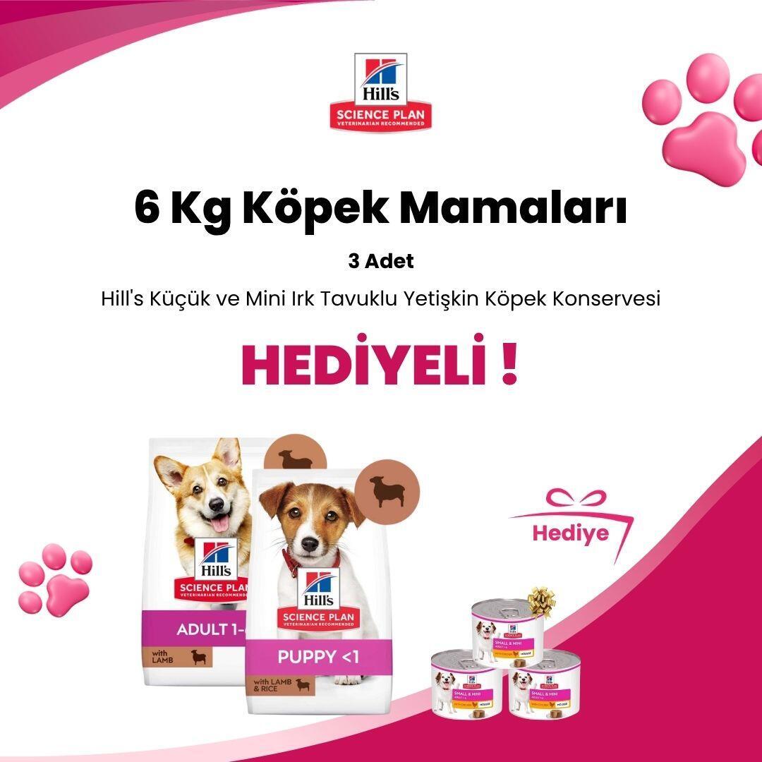 Hill's Science Plan 6 Kg Köpek Mamaları