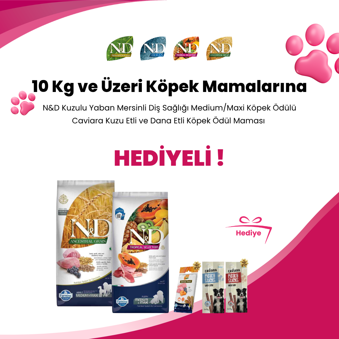 N&D 10 KG ve Üzeri Köpek Mamaları