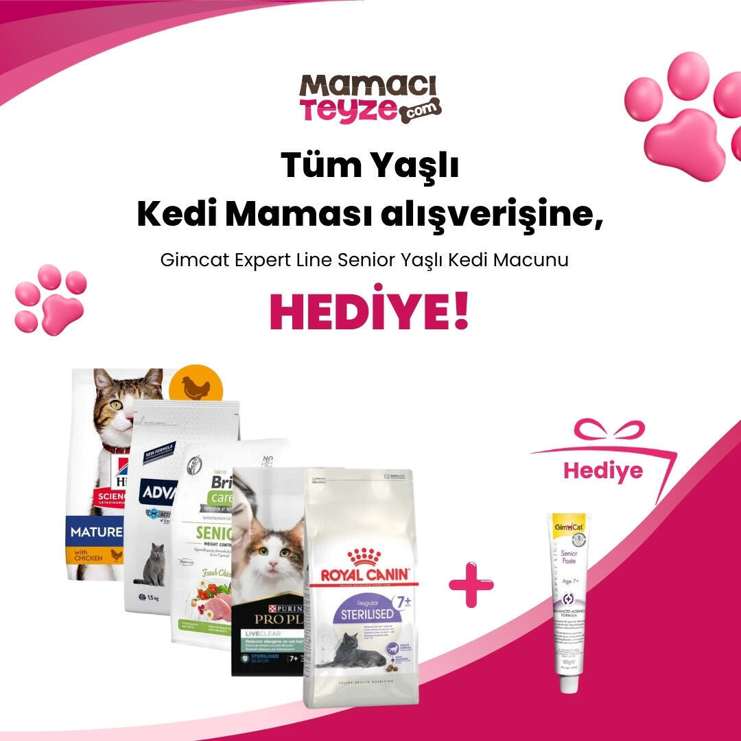Yaşlı Kedi Mamaları