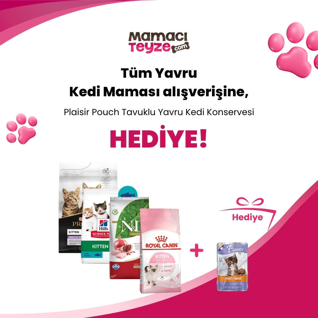 Tüm Yavru Kedi Mamalarına