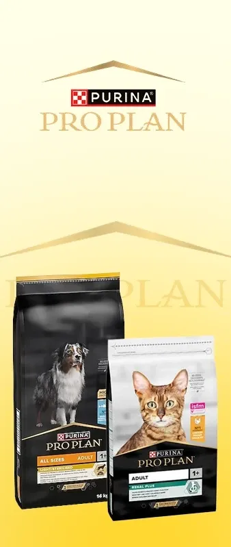 royal canin banner