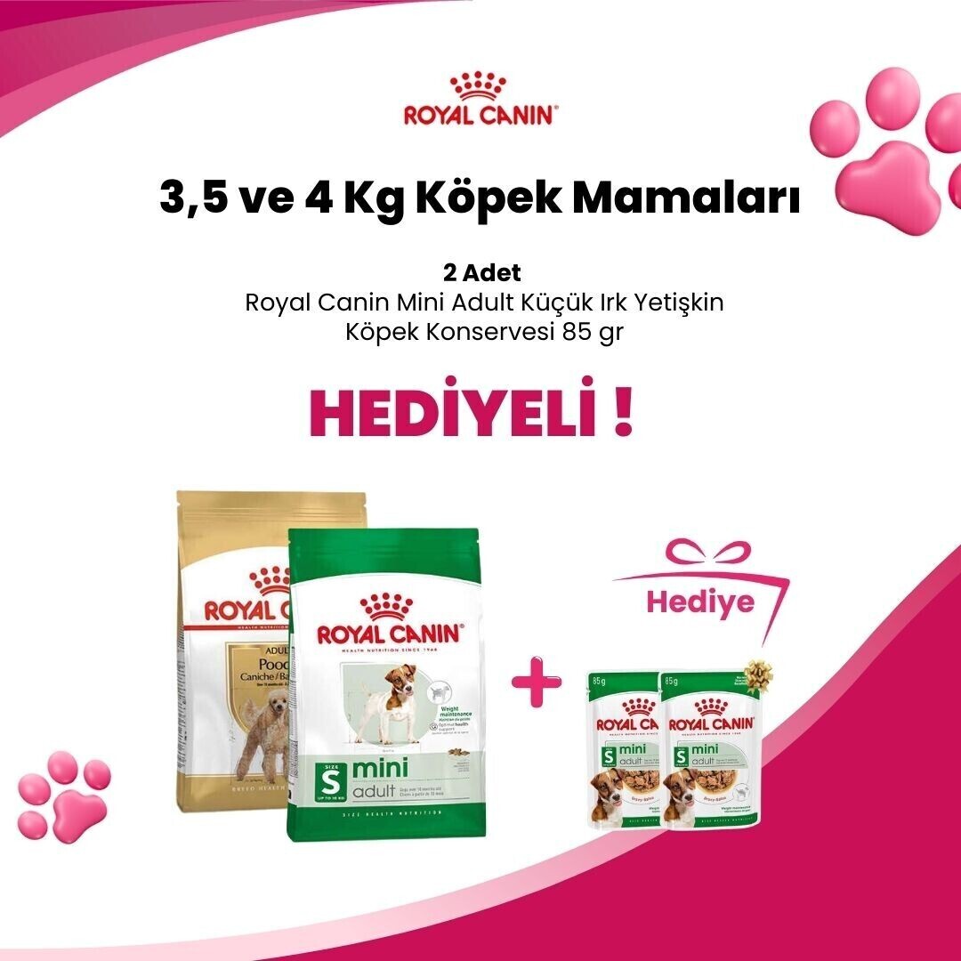 Royal Canin Köpek Mamaları Konserve Hediyeli