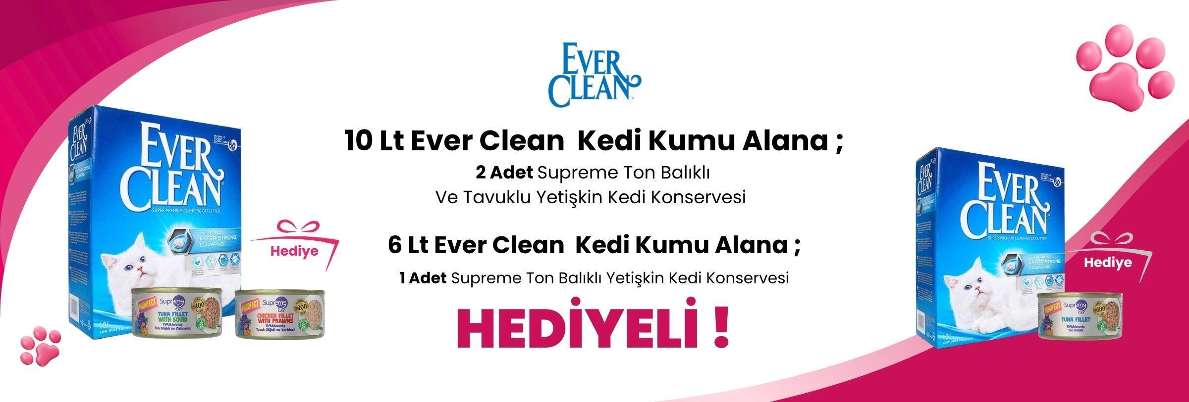Ever Clean 