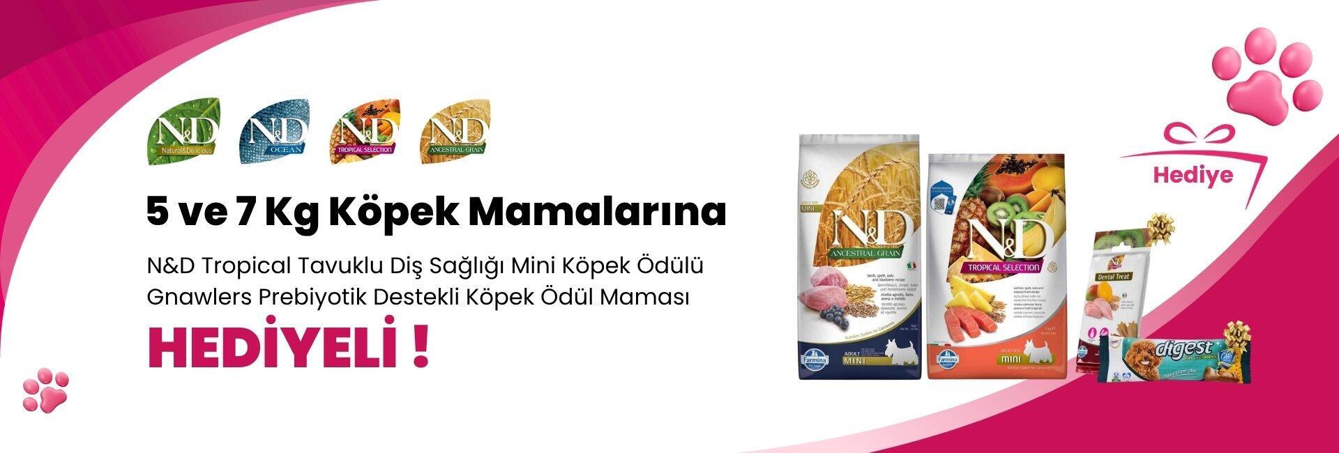 N&D 5 ve 7 Kg Köpek Mamalarına N&D Tropical Tavuklu Diş Sağlığı Mini Köpek Ödülü 60 Gr ve Gnawlers Digest Prebiyotik Destekli Köpek Ödül Maması 15gr 7.5cm Hediye