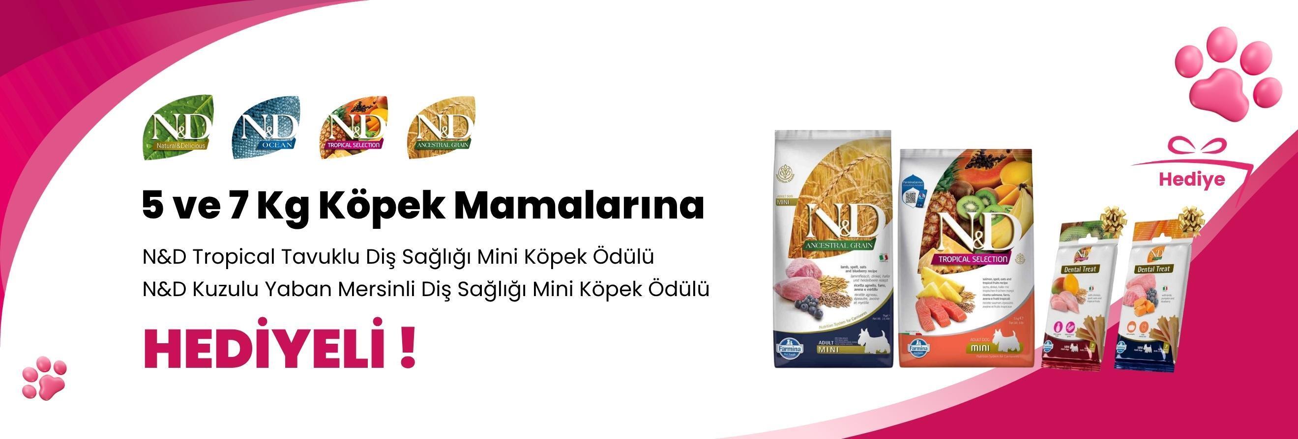 N&D 5 ve 7 Kg Köpek Mamalarına N&D Kuzulu Yaban Mersinli Diş Sağlığı Mini Köpek Ödülü 60 Gr ve N&D Tropical Tavuklu Diş Sağlığı Mini Köpek Ödülü 60 Gr Hediye