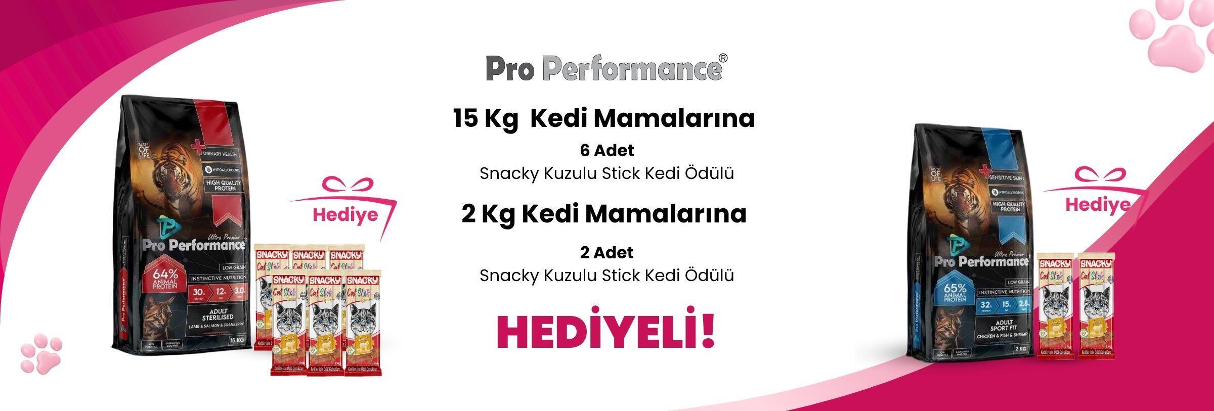 Pro Performance