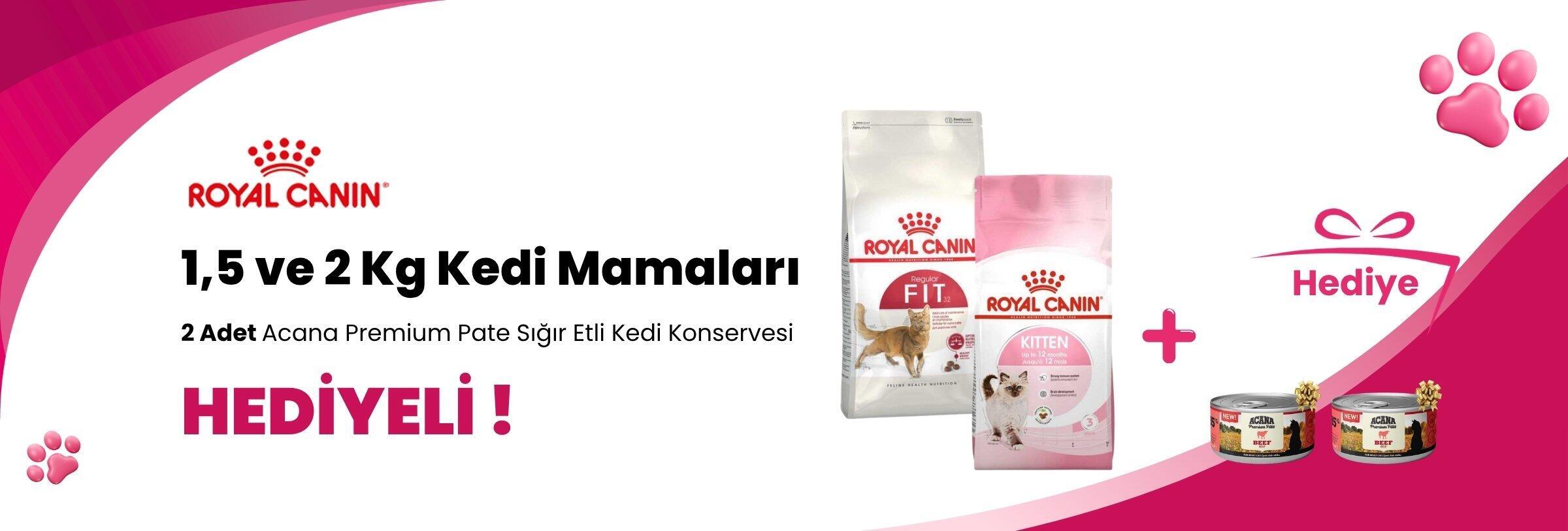 Royal Canin 1,5 ve 2 Kg Kedi Mamalarına 2 Adet Acana Premium Pate (Ezme) Sığır Etli Kedi Konservesi 85 gr Hediye