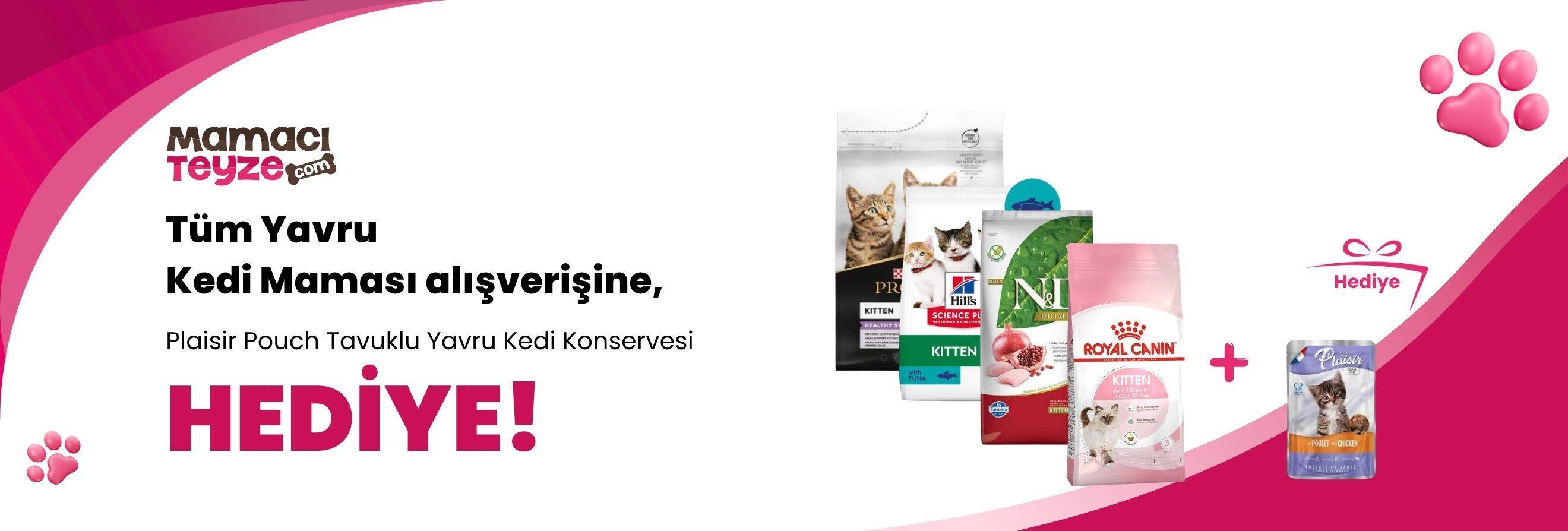 Yavru Kedi Mamaları