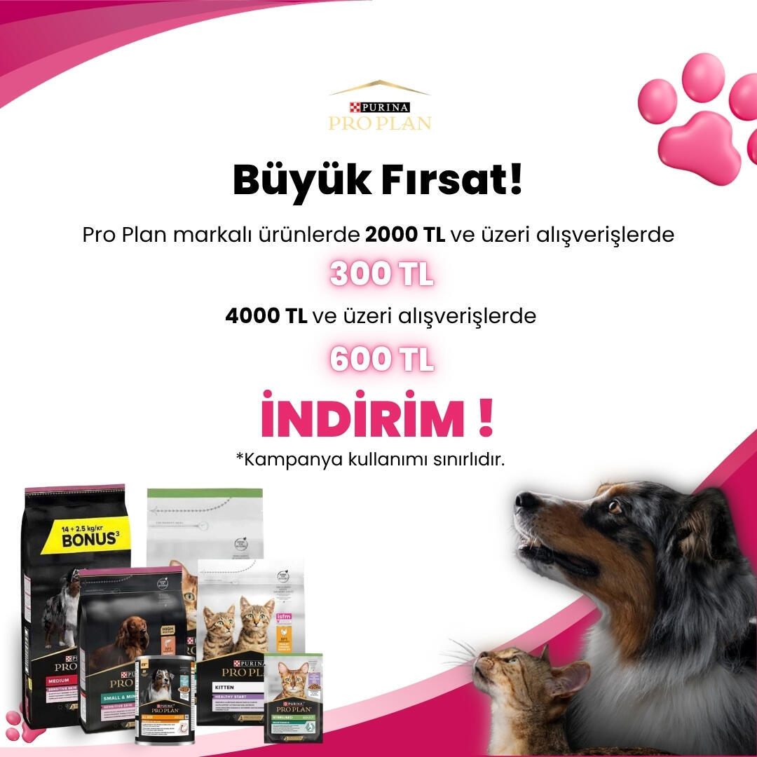 Pro Plan