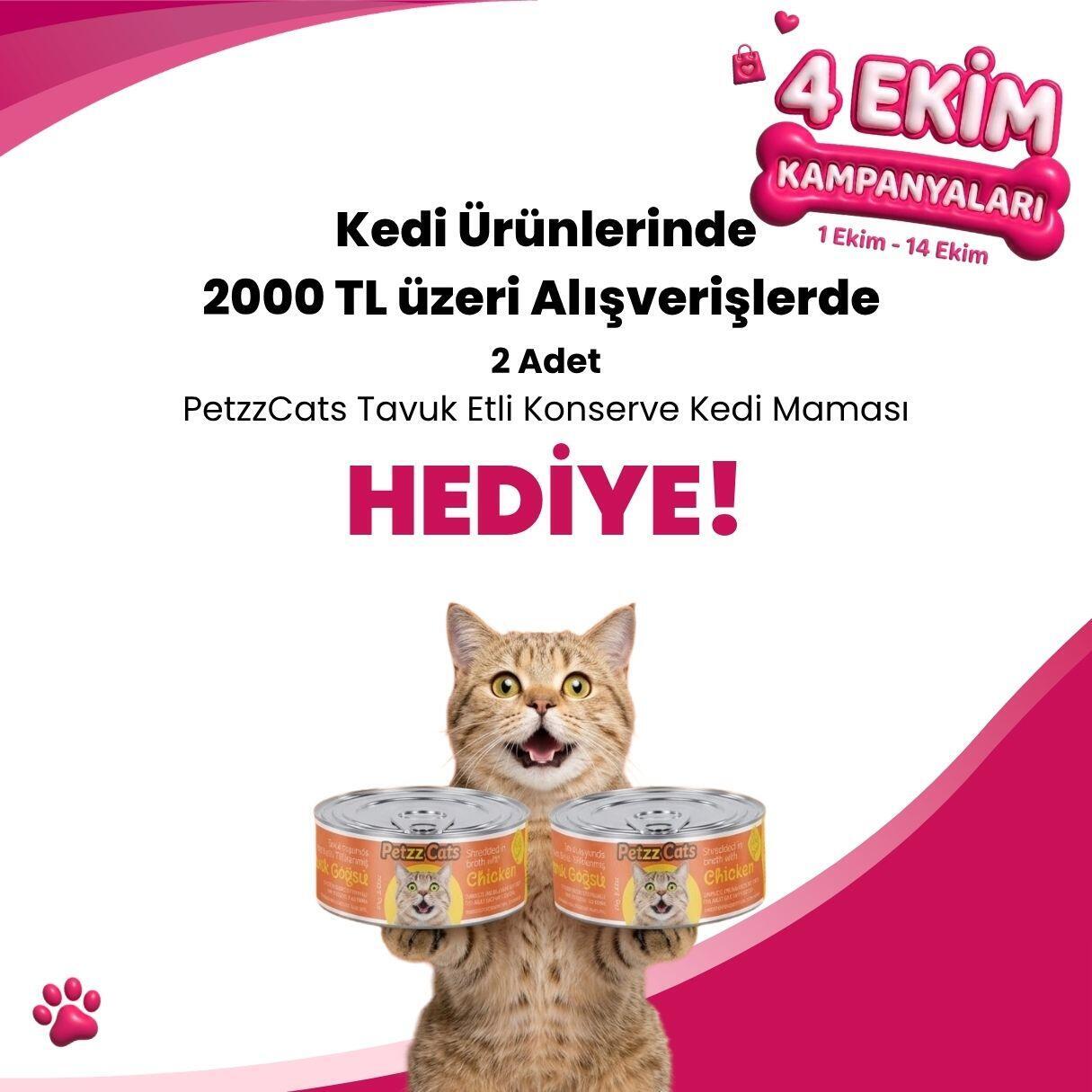 Kedi Ürünleri