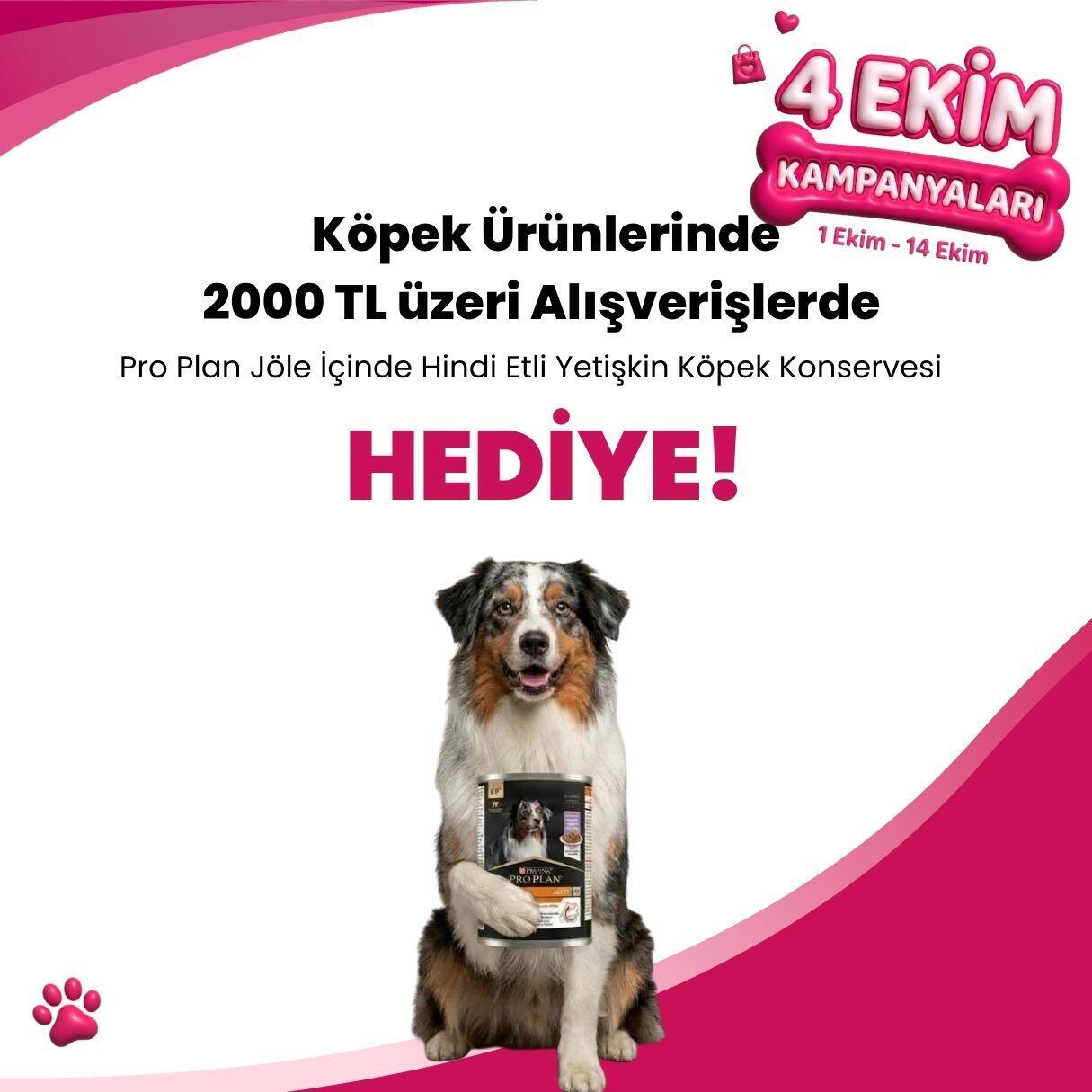 Köpek Ürünler