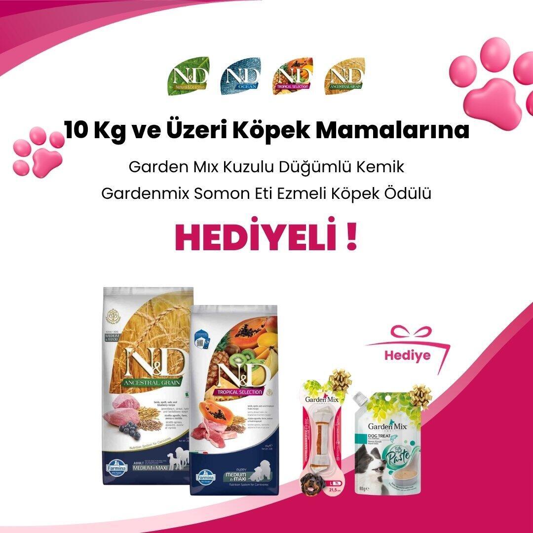 N&D 10 KG ve Üzeri Köpek Mamalarına N&D Tavuklu Balkabaklı Diş Sağlığı Medium/Maxi Köpek Ödülü 100 Gr ve N&D Kuzulu Yaban Mersinli Diş Sağlığı Medium/Maxi Köpek Ödülü 100 Gr Hediye