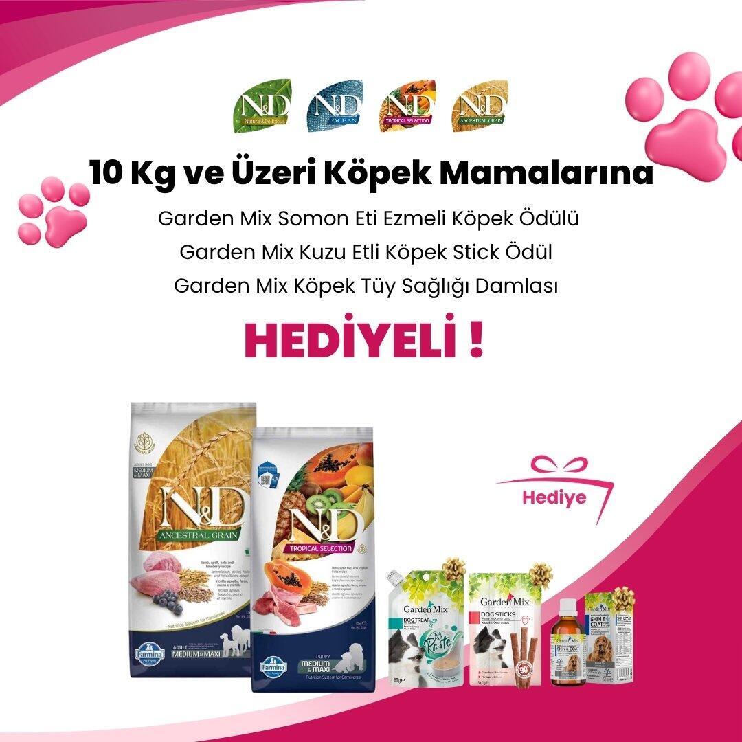 N&D 10 KG ve Üzeri Köpek Mamalarına N&D Tavuklu Balkabaklı Diş Sağlığı Medium/Maxi Köpek Ödülü 100 Gr ve N&D Kuzulu Yaban Mersinli Diş Sağlığı Medium/Maxi Köpek Ödülü 100 Gr Hediye
