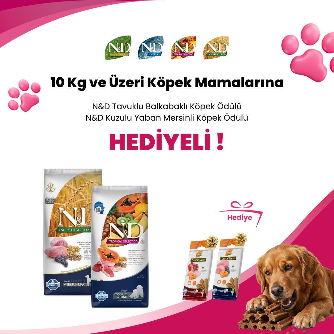 N&D 10 KG ve Üzeri Köpek Mamalarına N&D Tavuklu Balkabaklı Diş Sağlığı Medium/Maxi Köpek Ödülü 100 Gr ve N&D Kuzulu Yaban Mersinli Diş Sağlığı Medium/Maxi Köpek Ödülü 100 Gr Hediye