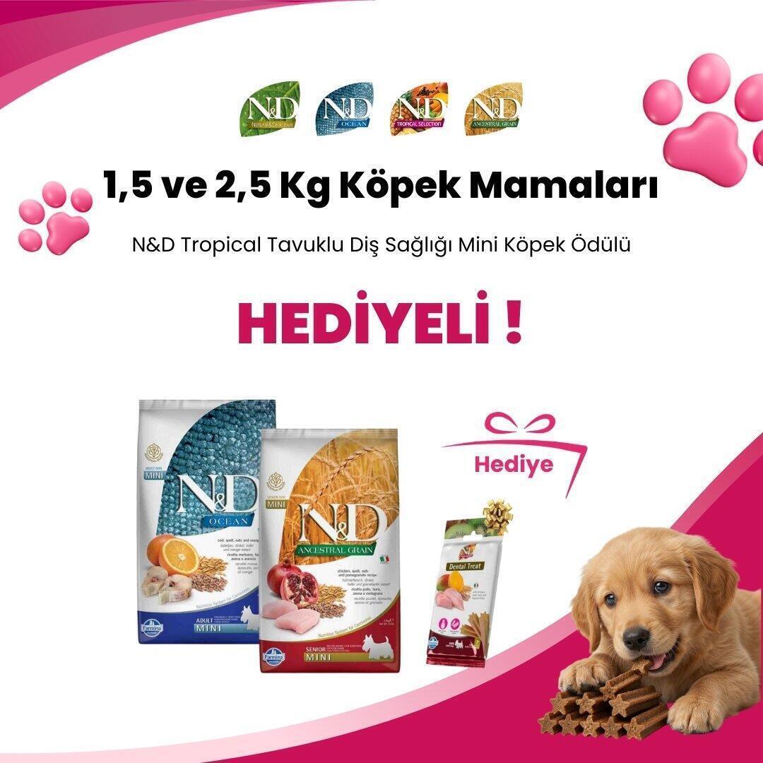 N&D 1,5 ve 2,5 Kg Köpek Mamalarına N&D Tropical Tavuklu Diş Sağlığı Mini Köpek Ödülü 60 Gr Hediye